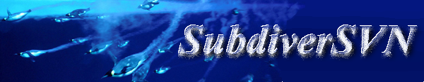 SubdiverSVN